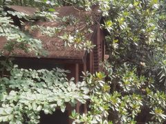 -WeLope紫金山探险公园