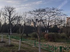 -合肥生态公园