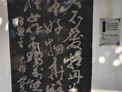 -洛阳市隋唐城遗址植物园