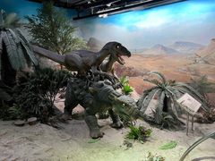 -国家自然博物馆