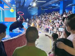 -重庆欢乐海底世界