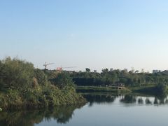 -眉山湿地公园(东坡区)