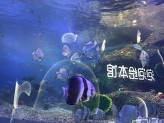 -沙沙哗啦海洋馆(华宇百花谷店)