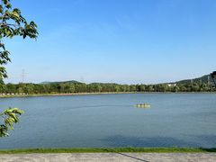 -羊山湖公园