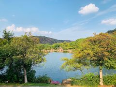 -白马涧龙池景区