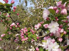 -元大都城垣遗址公园