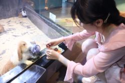 -未来动物城主题公园(正弘城店)