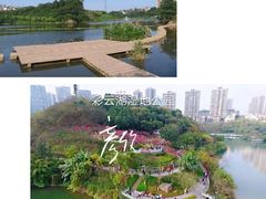 -重庆彩云湖湿地公园