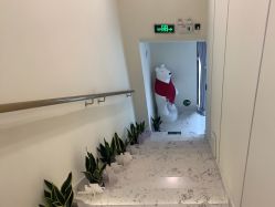 点击看大图 -海涛医疗美容·面部抗衰·注射美鼻