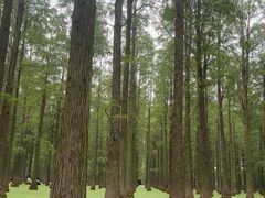 -渌洋湖湿地公园
