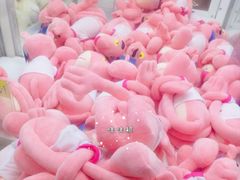 -汤姆熊欢乐世界(罗斯福店)