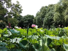 -芸海阁·农家私房菜(沙家浜景区出口店)