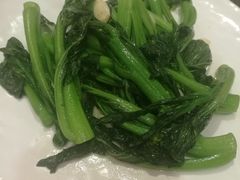-金碧轩粤菜海鲜大酒楼