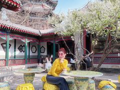 -宫事颐庭·老佛爷贵寿下午茶(颐和园店)