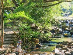 -广州市石门国家森林公园