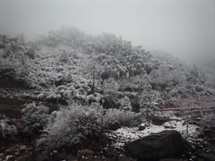 -安吉龙王山风景区