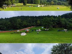 -武陵山森林公园