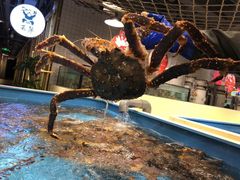 -日进一片海.生腌海鲜火锅.宵夜烧烤(三里屯总店)