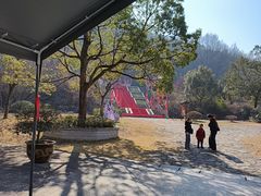 -陶祖圣境风景区