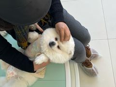 -怪兽屋·羊驼·猫咖·狗咖(俊华广场店)