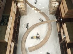 -福禧酒窖·中餐厅 (万柳店)