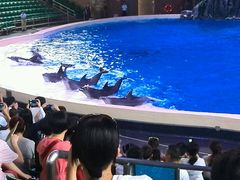 -广东省拱北口岸中国旅行社(华宾营业部)