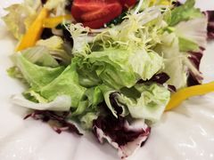 蔬菜色拉-骏莱海鲜鱼港(五角场店)