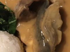 -子福慧(虹桥店)