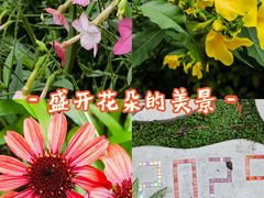 -龙头寺公园