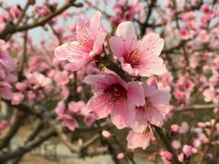 android_upload_pic-旗山国家森林公园
