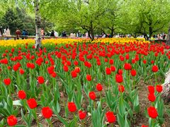 -长春公园(普阳街道)