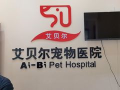-艾贝尔宠物医院 ·内科全科(梁溪路店)
