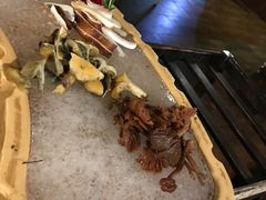 -滇釜火锅·能喝汤的火锅(车公庄店)