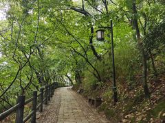 -苏州上方山国家森林公园