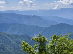 -王顺山国家森林公园