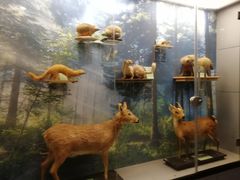 -下渚湖国家湿地公园科普馆