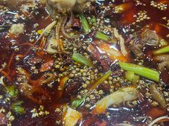 -烧哥美蛙肥肠鱼火锅·十五年社区店