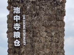 -良渚古城遗址公园
