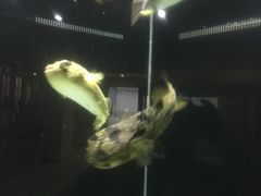 -台州海洋世界