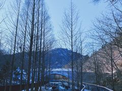 -白水寺森林公园