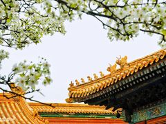 -故宫博物院(故宫)