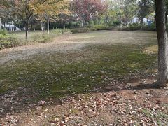 -南京工程学院(江宁校区)
