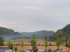 -南泥湾风景区
