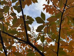 -西安市长乐公园