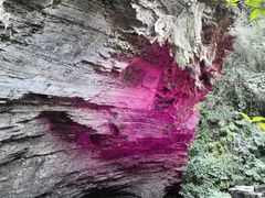 -南国桃园旅游度假区