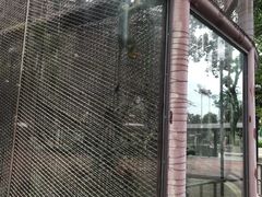 -石排湾郊野公园