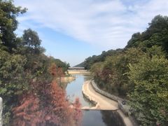 -广州市帽峰山景区