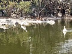 -昆明动物园