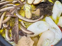 -蘑统田下·野生菌火锅