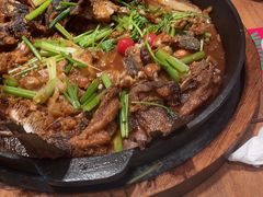 -老板恋上鱼(恒隆广场店)